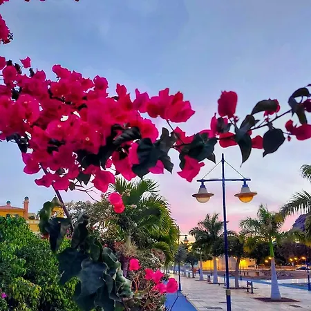 Vv Faro Apartman Puerto de Mogán